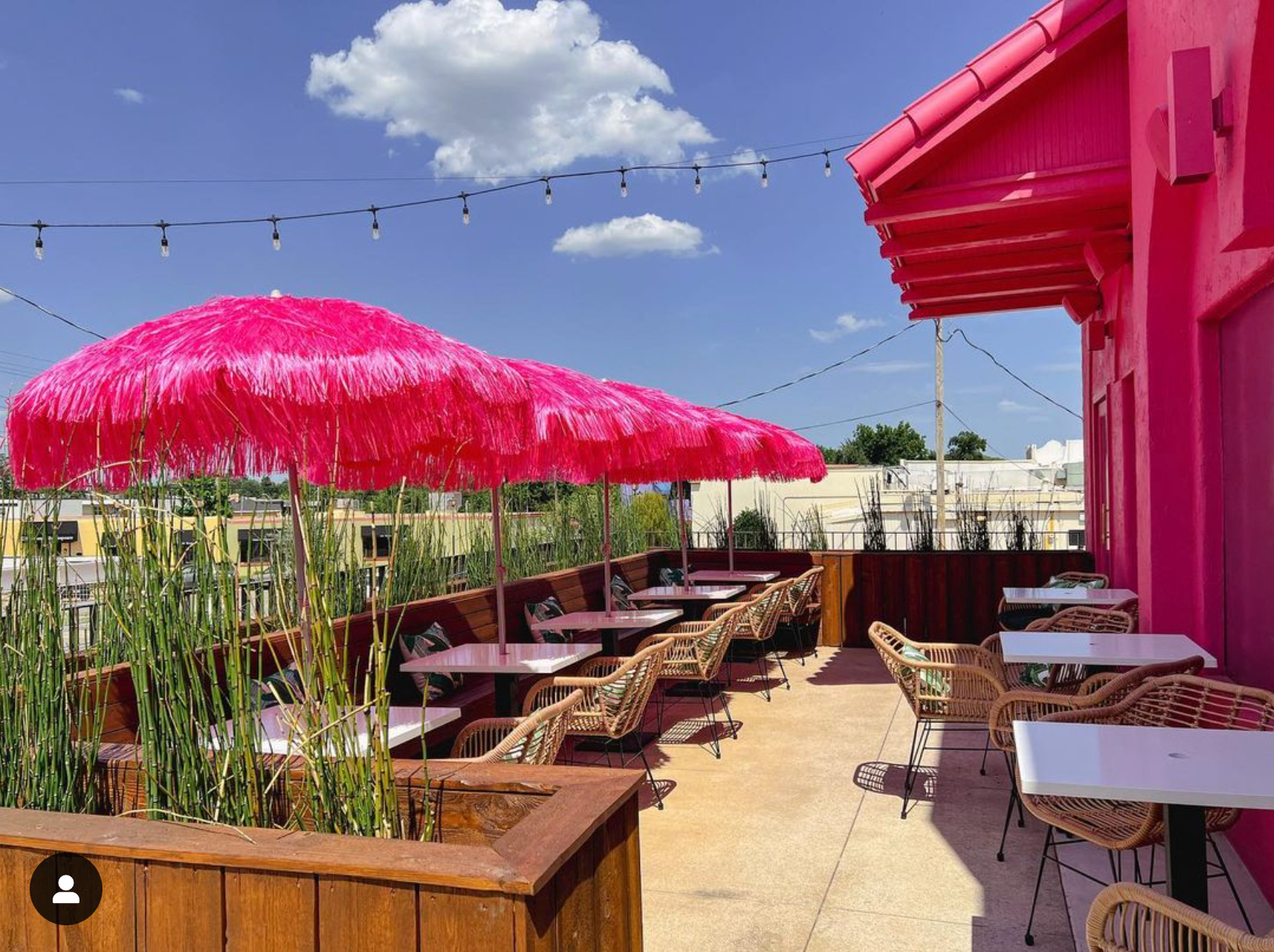 Flamingo Tiki — The Paseo Arts District